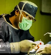 اذعان یک جراح دامپزشک به انجام ۲۵۰ عمل زیبایی روی حیوانات (+تصاویر)