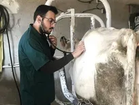 ۱۱۰۰ دامپزشک بیکار در آذربایجان غربی وجود دارد!/ سالانه ۲۰۰ نفر به جمعیت فارغ&zwnj;التحصیلان دامپزشکی استان افزوده می&zwnj;شود