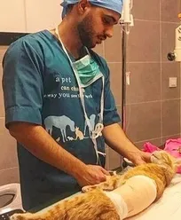 زمانی هم که دامپزشکی قبول شدم، سؤال بسیاری این بود که &laquo;مگه دامپزشک&zwnj;ها هم دکترن؟!&raquo;
