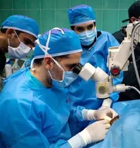 گزارش تصویری از جراحی کاتاراکت اسب، سنجاب، سگ و طوطی توسط چشم&zwnj;پزشک تبریزی در دانشکده دامپزشکی دانشگاه آزاد تبریز