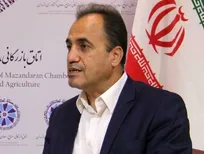 استیضاح حجتی به زیان کشاورزی است/ در شرایط فعلی جایگزینی برای ایشان وجود ندارد!