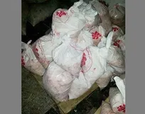 کشف و ضبط بیش از 470 کیلوگرم مرغ تاریخ&zwnj;گذشته قطعه قطعه شده از یک کشتارگاه صنعتی در کوهدشت