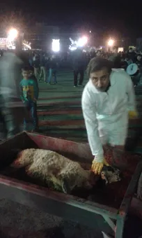 گفت&zwnj;وگوی تفصیلی حکیم مهر با &laquo;مهندس محمد جباری&zwnj;راد&raquo; مخترع دستگاه ذبح خودکار دام