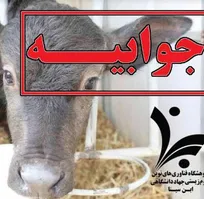 جوابیه پژوهشگاه فناوری&zwnj;های نوین علوم زیستی جهاد دانشگاهی (ابن&zwnj;سینا) به یادداشت اخیر &laquo;دکتر امیر نیاسری&raquo; درباره تولد نخستین گاومیش&zwnj; نژاد ممتاز به روش IVF