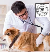 رئیس کانون سراسری انجمن&zwnj;های صنفی مراکز درمانی و مایه&zwnj;کوبی دامپزشکی، خواستار افزایش امتیاز لازم جهت تاسیس مراکز درمانی و مایه&zwnj;کوبی دامپزشکی شد