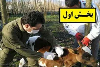 گزارش ویژه حکیم مهر درباره مشکلات سایر رده&zwnj;های دامپزشکی: فراموش&zwnj;شدگان! (بخش اول)