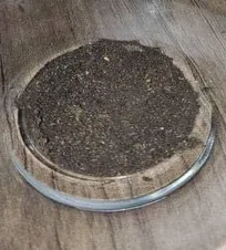 ادعای دانش&zwnj;آموز سروستانی: ساخت پودری جهت بهبودی زخم دام&zwnj;ها بدون بخیه و ذره&zwnj;&zwnj;ای عفونت!