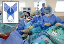 دانشگاه آزاد اسلامی در الحاق آموزش دامپزشکی و پزشکی پیش&zwnj;قدم شد/ آموزش دامپزشکی به معاونت علوم پزشکی این دانشگاه واگذار شد