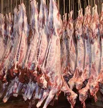 محموله گوشت وارداتی تاریخ&zwnj;گذشته مغولستانی پس از تایید آزمایشات، خوراک طیور و حیوانات خانگی می&zwnj;شود