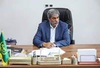 مرغداری&zwnj;ها هرگز از هورمون استفاده نمی&zwnj;کنند/ صادرات مرغ ایرانی با برند فرانسوی