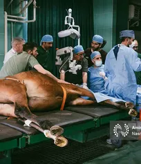 جراحی &laquo;کیست درموئید چشم&raquo; یک اسب ۱۳ ماهه توسط &laquo;دکتر بهنام غفارزاده&raquo; چشم&zwnj;پزشک معروف تبریزی در دانشگاه آزاد تبریز (گزارش تصویری)
