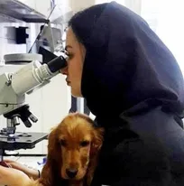 گفت&zwnj;وگوی حکیم مهر با &laquo;دکتر نیکا علیمی&raquo; دانشجوی ممتاز دوره تخصصی کلینیکال پاتولوژی دانشکده دامپزشکی دانشگاه تهران/ بسیاری از دامپزشکان اهمیت این رشته را درک نکرده&zwnj;اند