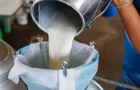10.7 درصد نمونه&zwnj;های اخذ شده در طرح پایش سلامت شیرخام استان قزوین از نظر بروسلوز مثبت بودند