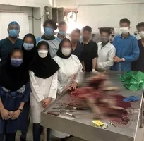 ماجرای جنجالی سگی که ادعا می&zwnj;شود در دانشکده دامپزشکی دانشگاه آزاد شوشتر زجرکش شد، چیست؟!