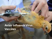 ژورنال Nature و واکسیناسیون علیه H5N8!- دکتر لیلا پیشرفت ثابت، دکتر زهرا برادران سید، دکتر محمدحسین فلاح مهرآبادی