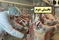 هیچ تعرفه&zwnj;ای برای سایر رده&zwnj;های دامپزشکی وجود ندارد/ معرفی ناظر بهداشتی با حقوق ۶۰۰ هزار تومانی!