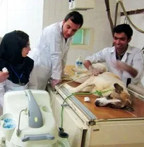 امکان استفاده دانشجویان دامپزشکی از مزایای خدمات بیمه&zwnj;ای و سوابق شغلی تامین اجتماعی فراهم شد