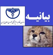 بیانیه سازمان نظام دامپزشکی درباره تلف شدن &laquo;پیروز&raquo;/ موضوع در کمیته تخصصی حیات&zwnj;وحش و محیط زیست سازمان بررسی می&zwnj;شود