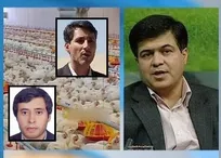 شاید در آینده شاهد انعكاس مطلبی در زمینه بیماری&zwnj;های طیور از سوی یك مهندس الكترونیک باشیم!