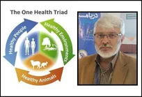 اپیدمیولوژی سلامت واحد - دکتر سید شهرام میرزمانی