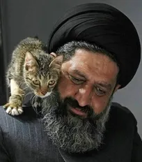 گربه زخمی بر روی شانه روحانی ایرانی حامی حیوانات/ عکسی که جهانی شد