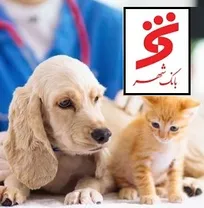 پرداخت وام دو میلیارد تومانی بانک شهر به دامپزشکان فعال در بخش خصوصی (+جزئیات)