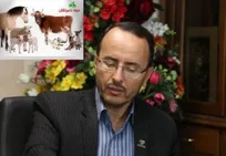 اعلام تعرفه&zwnj;های سال ۹۷ خدمات دامپزشکی در دستور کار است که پس از پیشنهاد سازمان نظام دامپزشکی و تایید نهایی وزیر جهاد کشاورزی، ابلاغ خواهد شد