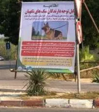 شهروندان جزیره کیش ملزم به انجام واکسیناسیون دوره&zwnj;ای و دریافت شناسنامه برای سگ&zwnj;های نگهبان خود شدند