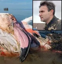 &laquo;کمیته مشورتی میانکاله&raquo; متشکل از اساتید بنام دانشگاهی پس از بررسی&zwnj;ها و نمونه&zwnj;برداری&zwnj;های دقیق، نظر سازمان دامپزشکی در مورد رخداد &laquo;بوتولیسم&raquo; در میانکاله را تایید کرد