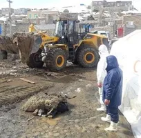 چالش بحران؛ فرصتی برای بهتر شدن - دکتر سیدحسین حسن&zwnj;زاده