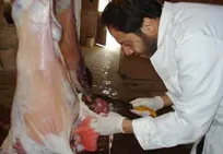 میزان عیدی مسئولین فنی و دستیاران بهداشتی دامپزشک، ۲ میلیون و ۷۸۹ هزار تومان اعلام شد