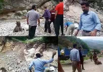 تیم کارشناسی دامپزشکی: علت مرگ توله خرس سوادکوه سنگ&zwnj;پرانی ضاربان نبوده است/ اعتراض محیط زیست سوادکوه به حکم تبرئه خرس&zwnj;کش&zwnj;ها