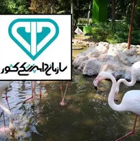 بازدید از کلیه باغ&zwnj;های پرندگان در سراسر کشور ممنوع شد