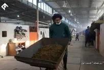 وقتی سرکارگر اسب&zwnj;داری با تحقیر، یک دامپزشک را مجبور به تمیز کردن طویله و حمل مدفوع اسب با فرغون می&zwnj;کند/ ضرورت موضع&zwnj;گیری شدید تشکل&zwnj;های دامپزشکی