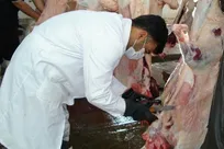 اعلام جزئیات حداقل حقوق و مزایای مسئولین فنی بهداشتی دامپزشکی در سال 96/ حقوق دکتر دامپزشک از 2 میلیون و 835 هزار تومان تا 5 میلیون و 678 هزار تومان