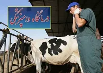 گزارش ویژه حکیم مهر درباره مشکلات کلینیسین&zwnj;های دامپزشکی/ تنها ۲۵ درصد از درمان دامپزشکی کشور به عهده دامپزشکان است!