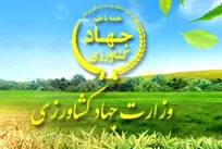 وزارت جهاد کشاورزی؛ گلبول سفید آلوده به ایدز با ضریب ناپایداری اینفینیت و تمایلات خودفاگوسیتوزی!