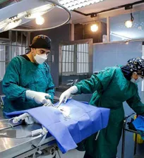 در بیمارستان دامپزشکی دانشگاه آزاد اسلامی واحد علوم و تحقیقات چه می&zwnj;گذرد؟