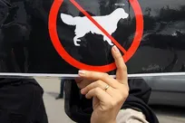 اطلاعیه اداره کل محیط زیست استان کرمان درخصوص ماجرای سگ&zwnj;کشی در رفسنجان