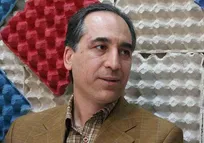 سازمان دامپزشکی اعتباری برای معدوم&zwnj;سازی مرغ&zwnj;های آلوده ندارد