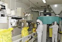 ضرورت استخدام دامپزشک در کارخانه&zwnj;های آرد!