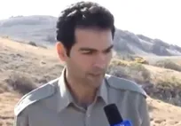 دامپزشک انگلیسی خطاهایی انجام داده بود و اصلاً معلوم نیست دامپزشک بوده یا نه!/ استفاده از هورمون&zwnj;های غیراستاندارد بدون نظارت متخصص تولید مثل (+ توضیحات دکتر معماریان)