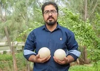 دامپزشکی که وارد عرصه پرورش شترمرغ شده است/ پرواربندی شترمرغ سالیانه ۴۵ درصد سود دارد