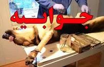 جوابیه اداره کل دامپزشکی استان گیلان به انتقاد &laquo;خزرآنلاین&raquo; از جراحی حیوانات خانگی توسط یک فرد غیردامپزشک در یک مرکز دامپزشکی در این استان
