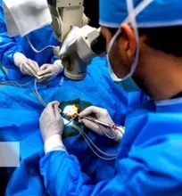 جراحی کاتاراکت مرغ مینا، کاسکو، خرگوش، اسب و سگ توسط چشم&zwnj;پزشک تبریزی در دانشکده دامپزشکی دانشگاه آزاد تبریز (+تصاویر)