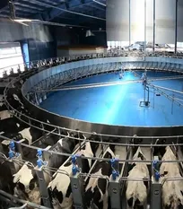 مبانی نظری و تجربیات عملی تاسیس واحدهای تولیدی بزرگ&zwnj;مقیاس&nbsp;و یکپارچه&zwnj;سازی زنجیره تامین غذا - دکتر سید حسین حسن&zwnj;زاده