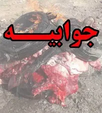 جوابیه اداره کل دامپزشکی استان چهارمحال و بختیاری به حکیم مهر درباره خبر &laquo;شیوه حیرت&zwnj;آور و غیربهداشتی معدوم&zwnj;سازی لاشه یک گاو توسط اداره دامپزشکی شهرستان لردگان!&raquo;