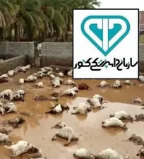 آسیب&zwnj;شناسی عملکرد سازمان دامپزشکی کشور در رخداد سیل اخیر - دکتر صمد بختیاری