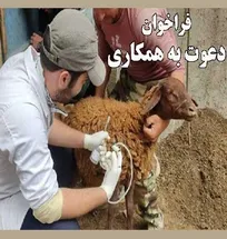 بکارگیری روستاییان با مدرک تحصیلی سیکل و بالاتر برای واکسیناسیون دام&zwnj;ها در کشور کلید خورد!