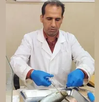 در حوزه دامپزشکی آبزیان، بخش خصوصی ضعیف عمل کرده است/ صنعت آبزیان ۴۰ سال از صنعت طیور عقب است